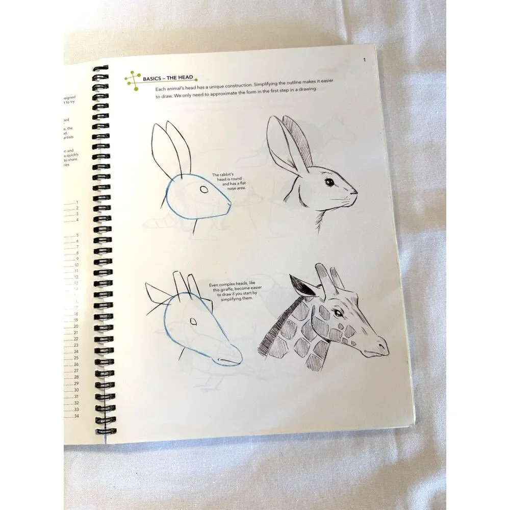 NWOT Artists Learn How to Draw Animals Spiral Book